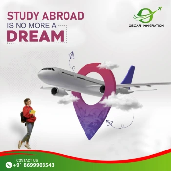 Oscar Immigration Graphics Design