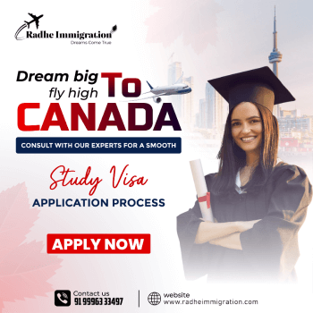 Radhe Immigration Graphics Design