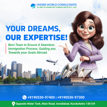 Wider World Consultants Graphics Design