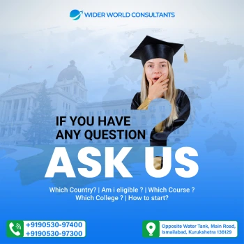 Wider World Consultants Graphics Design