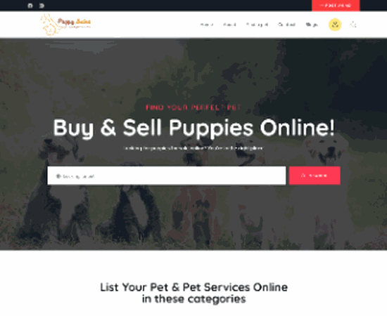 puppy sales portfolio gif